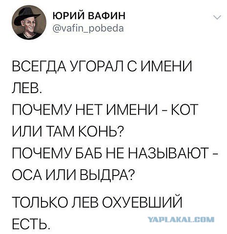 Подведём игоги