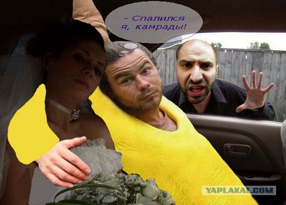 Друзья обезьян