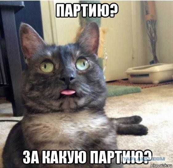 Не можешь выбрать? Пройди тест