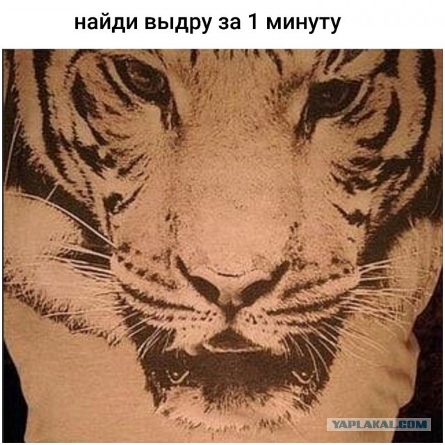 Бредзона 15.12.20