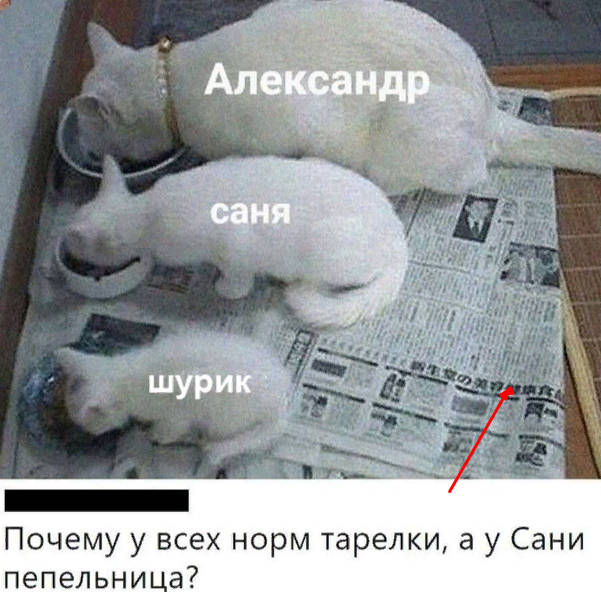 С новым...