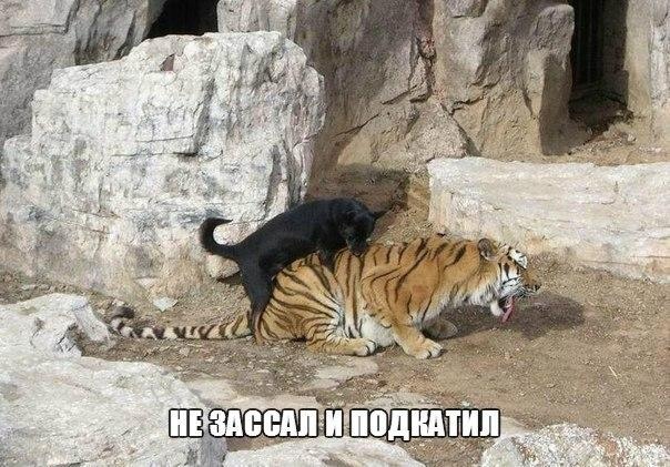 Так себе картинки 25.06.21