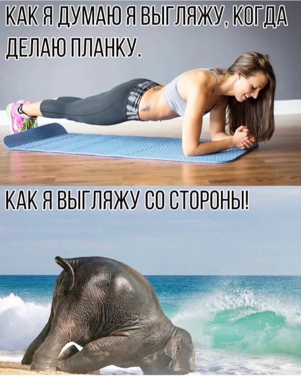 15903454.jpg
