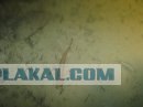 Любительская съемка под водой