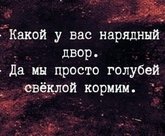 Человек собаке друг и другие картинки под настроение 13.01.2022
