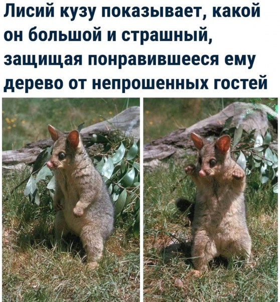 Понедельник. Вечер. Картинки для настроения