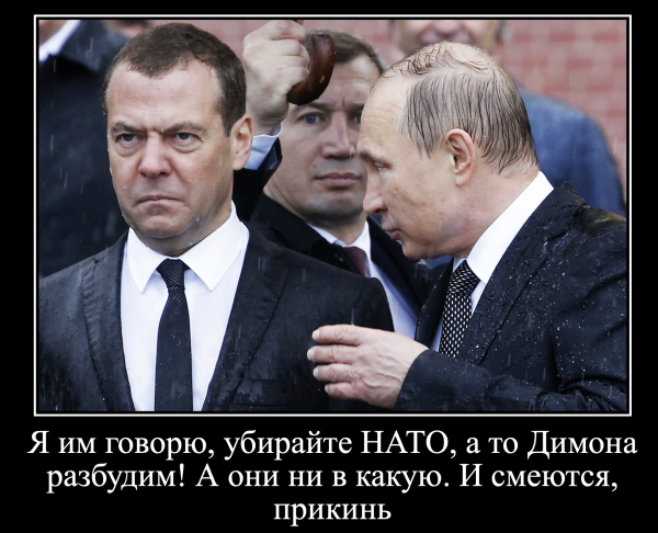 Медвед