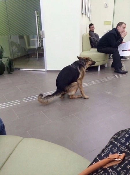 Любовница поневоле