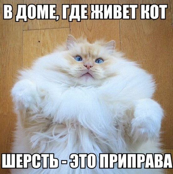 Картинки и мемы для настроения - 137