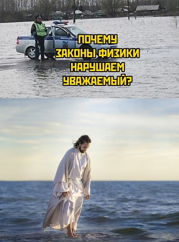 Весёлый полтишок 16.04.23