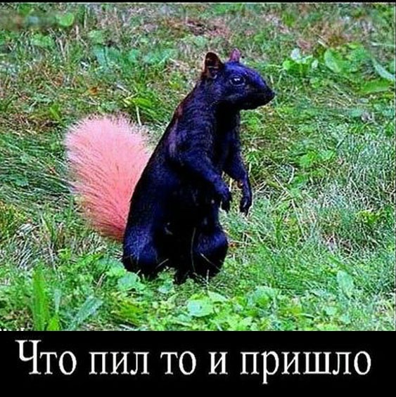 Так себе картинки 14.05.23