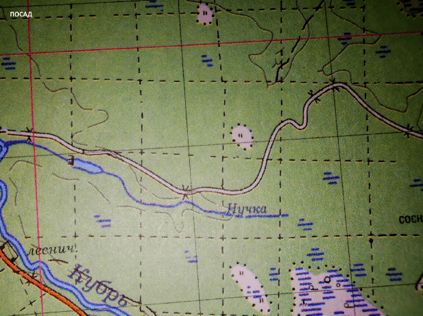 Квартальный столб - простой способ сориентироваться в лесу, о котором знает каждый лесник, но не всякий охотник
