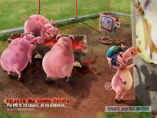 Социализм vs капитализм