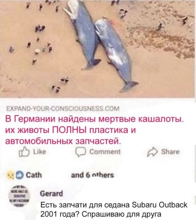 Немного лёгкой *банцы, наркомании и деградации в ленту 3