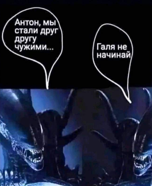 19359454.jpg