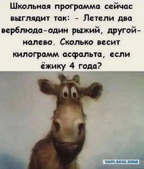 Картинки разные с надписями и без