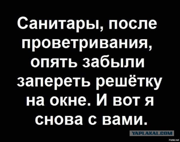 Новости культурной столицы из ПВЗ
