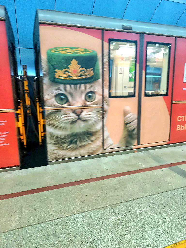В казанском метро запустили поезда с котами в тюбетейках