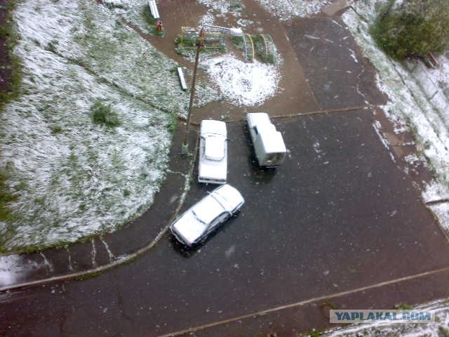 Сибирское лето