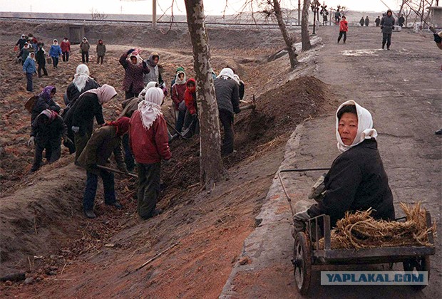 Ким Чен Ын прокатился за рулем крупнокалиберной РСЗО