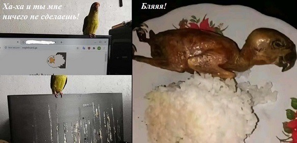 Веселое настроение в картинках (27.04.2026)