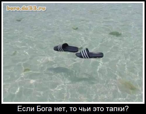Картинки для деградации 237 (разной степени свежести)
