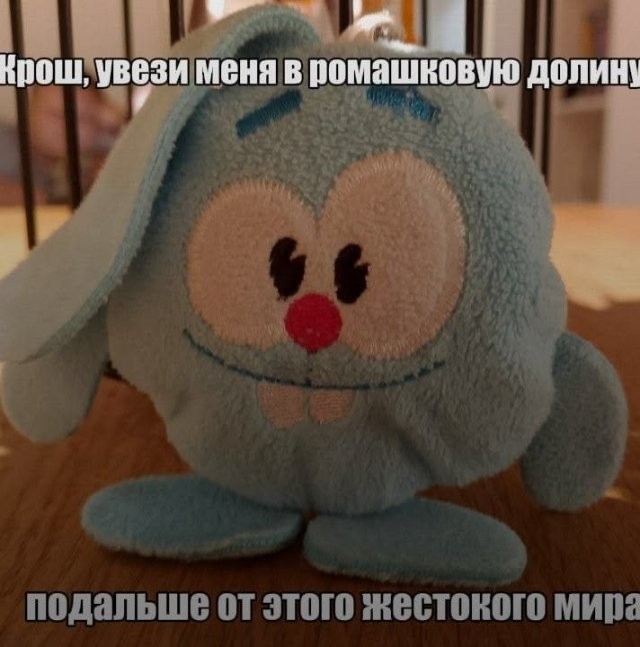 Так себе картинки 13.08.26