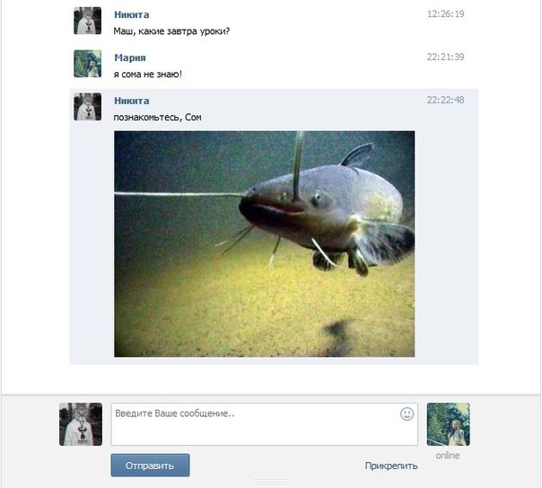 Смешные комментарии из социальных сетей