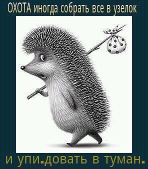 Новое ругательство...