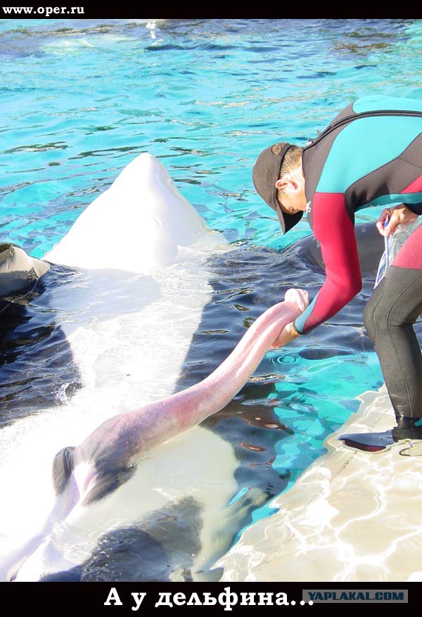 Весёлые картинки. Разбавим будни