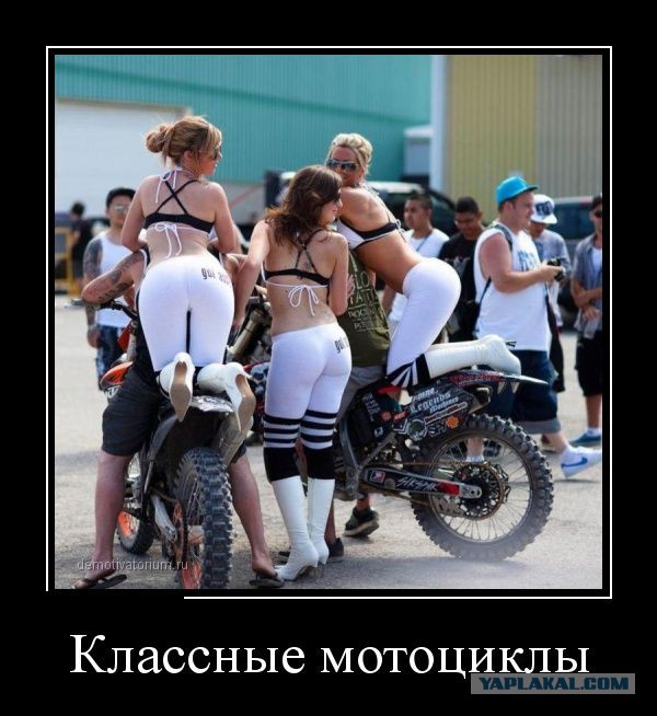 Подборка прикольных фото на начало мая