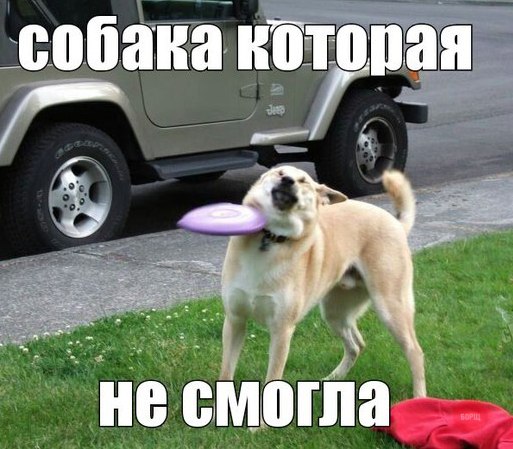 Приколы из социальных сетей №х/з
