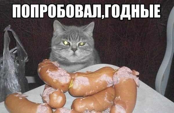 Подборка смешных картинок :)