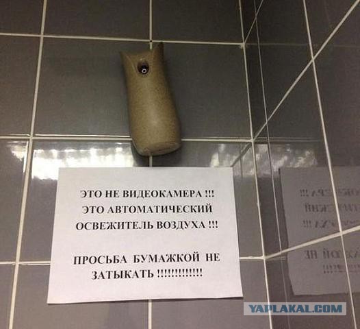 Картинки с утра.