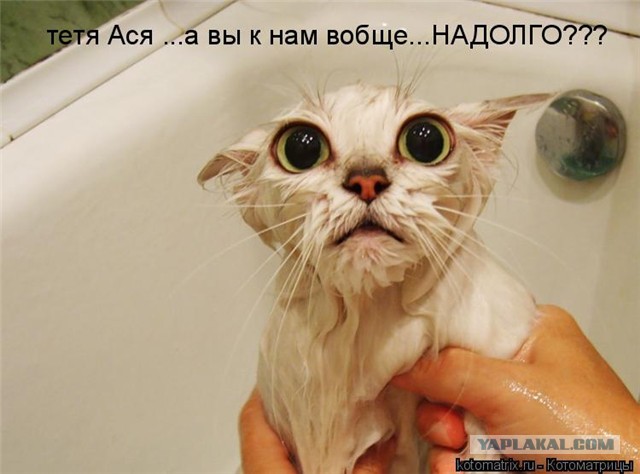 Немного позитива на пятницу
