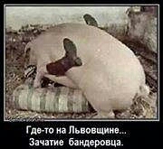 Марш творогов в Харькове