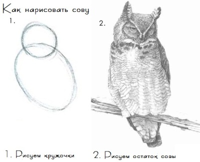 Как я делал письмо из Хогвартса