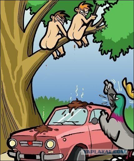 9 картинок из параллельной вселенной