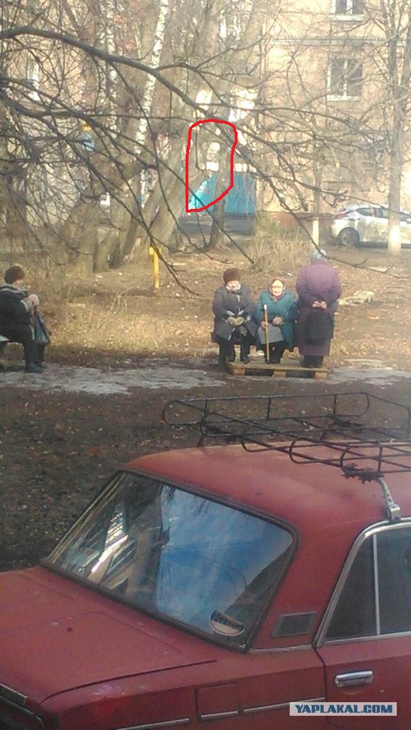 На улице потеплело