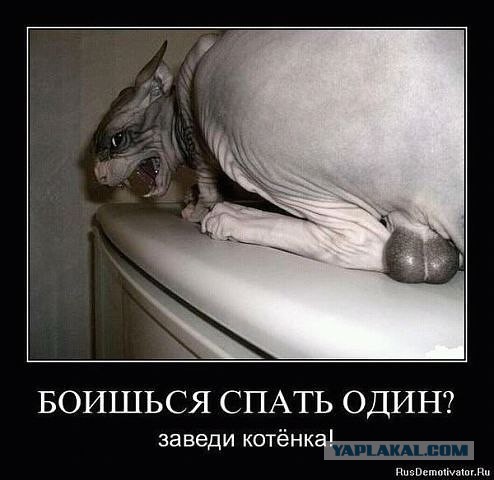 100₽ и шоколад, первому отгадавшему)