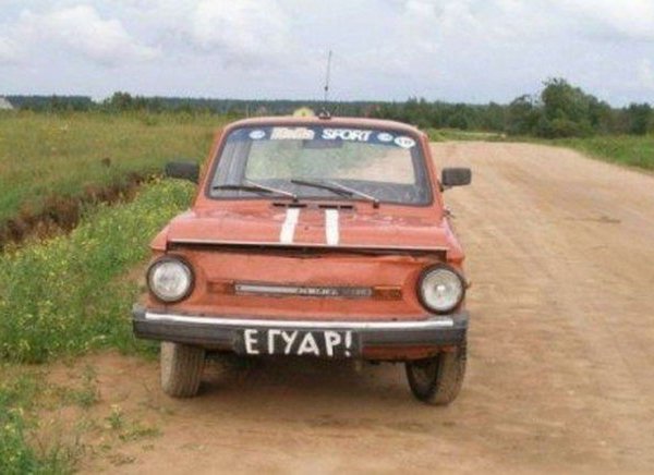 Приколы из сети