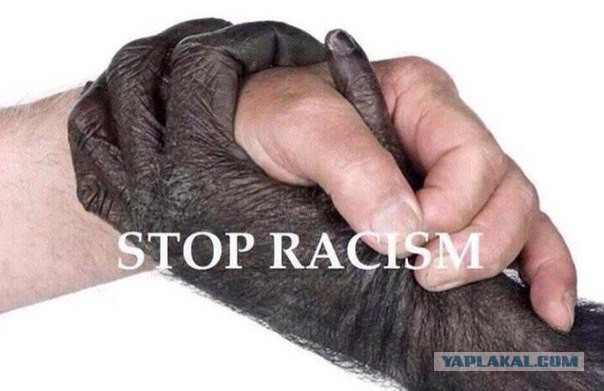 Подборка интересных и веселых картинок