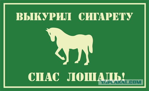 В России хотят запретить курение на улице