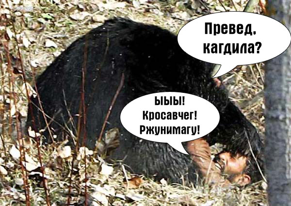 Пакистанская храбрость