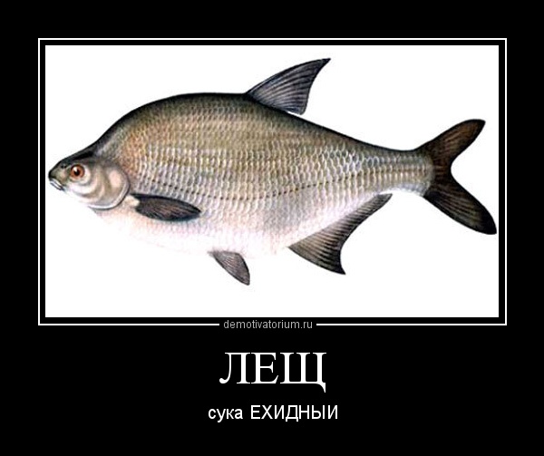 Я побил женщину.