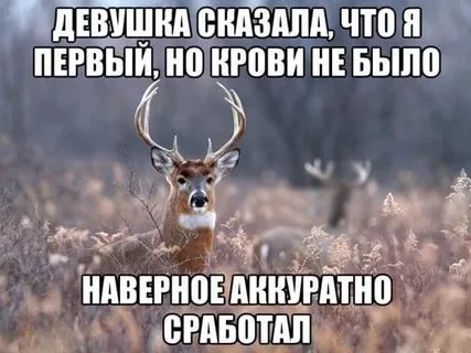 Порция воскресных картинок