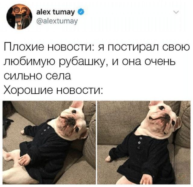 Подборка интересных и веселых картинок