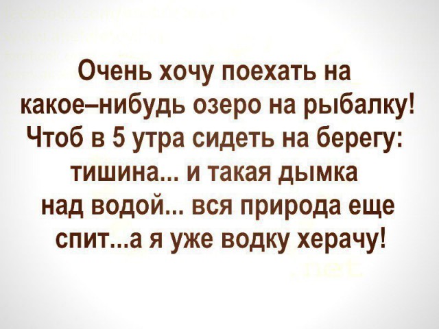 Почему я ненавижу алкоголь