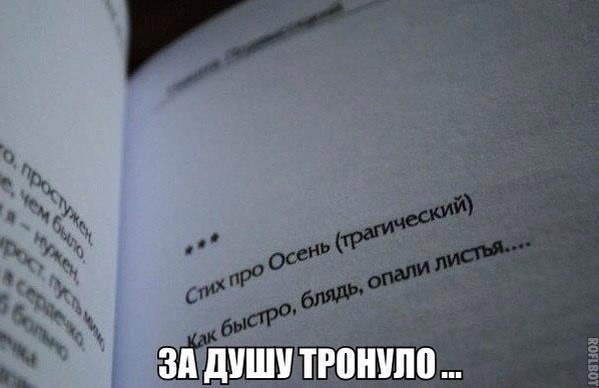 Подборка интересных и веселых картинок