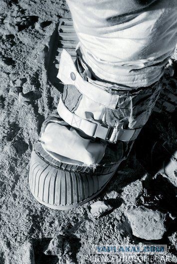 Новосибирские физики подтвердили подлинность высадки астронавтов США на Луну